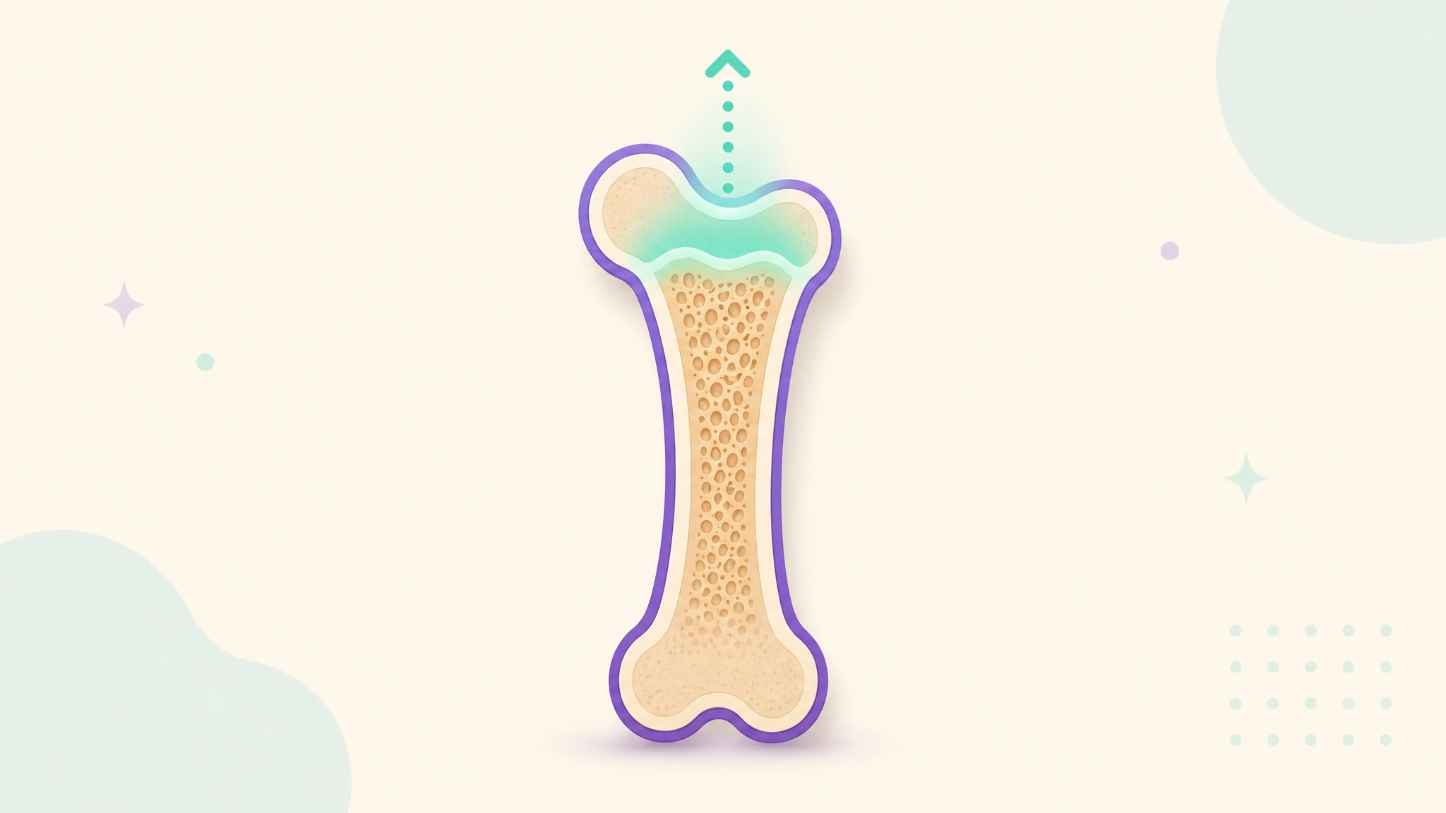 What Calcium in Milk Actually Does for Bones