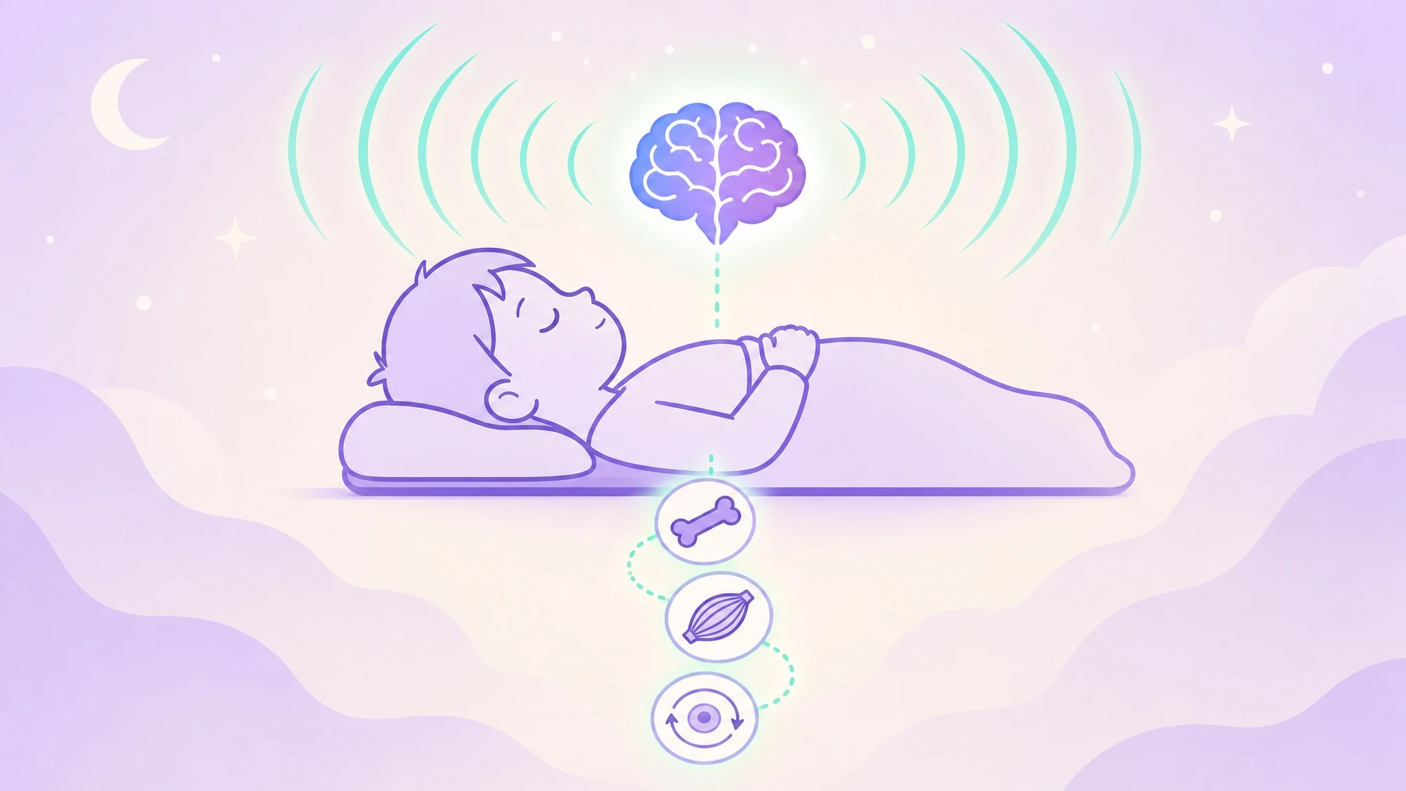 The 30-Day Protocol: Four Simple Rules